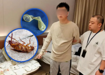 Chinese man arrested for scamming 63 hotels with ‘dead cockroaches, used condoms’ to get free stays