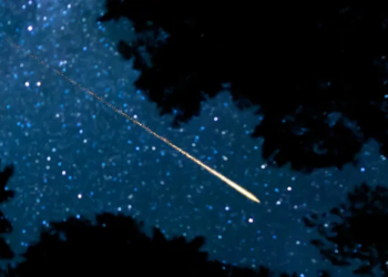 How to spot a fireball from the first branch of the Taurid meteor showers
