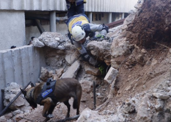 In a dramatic development following the collapse of President Bashar al-Assad's government, the Syrian Civil Defence forces, known as the White Helmets, have launched a critical investigation into the notorious Saydnaya prison's hidden underground cells.