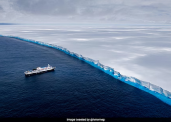 World's largest iceberg, A23a, breaks free after 30 years, begins remarkable journey