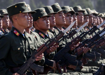 Zelensky claims Russian troops burning faces of North Korean soldiers killed in war