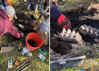 New York man discovers rare complete mastodon jaw buried in his backyard