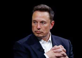 Social media buzz: ‘He’s a CEO’ warning sparks fears of threat to Elon Musk