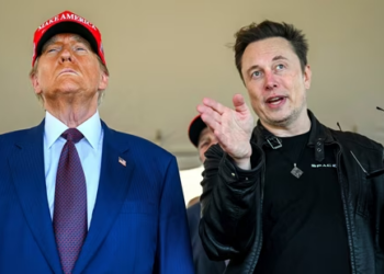 Why some Democrats are calling Elon Musk “President Musk”