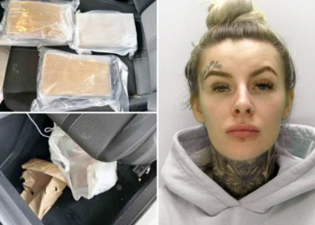 UK drug dealer’s glamorous mugshot goes viral, gains online fans