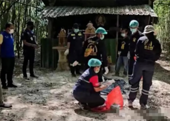 Shocking discovery: 73 dead bodies 'used for meditation' and 600 crocodiles found in two Thai temples