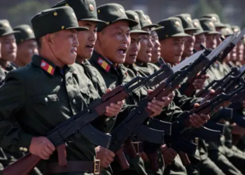 Injured North Korean soldier fighting for Russia captured by Ukrainian forces