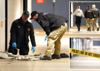 Man set on fire at Penn Station: Latest in string of disturbing NYC incidents