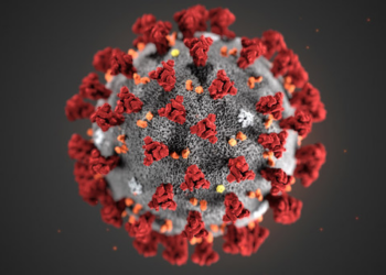 Five years on: The enduring impact of the Covid-19 pandemic on global health