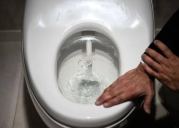 Do not wipe toilet seats with toilet paper, warns Japanese manufacturer. Here’s why