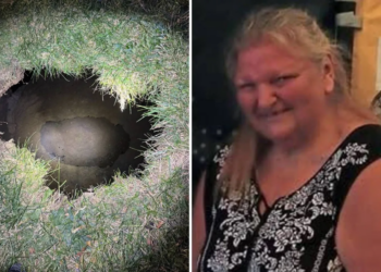 Pennsylvania: Missing woman searching for cat may have fallen into 30-foot sinkhole; desperate search underway