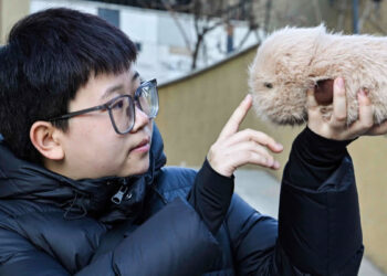 https://breezyscroll.com/technology-news/young-chinese-turn-to-ai-pets-for-emotional-support-amid-rising-social-anxiety/