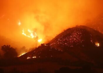 Victims of LA wildfires: Stories of love, loss, and bravery