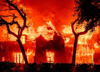 Los Angeles fire victim died with garden hose in his hand as he tried to save family home