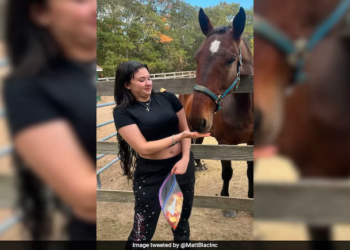 "26 days of hell": Long Island man finds kidnapped teenage daughter alive on boat; suspect arrested