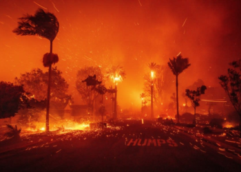 How to help victims of devastating LA wildfires?