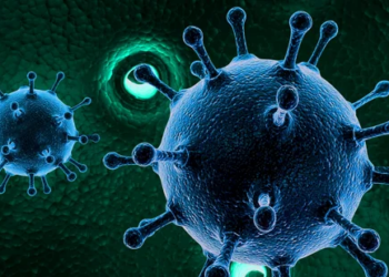 New 'COVID-like' virus emerges in China: What is HMPV, its symptoms, and who is at risk?
