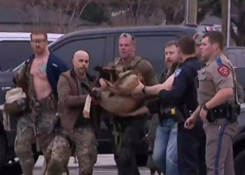 Rocky, a police dog with the United States Marshals Service, is being celebrated as a hero after his heroic efforts led to the capture of a fugitive in Houston, Texas. Despite being shot during the operation, Rocky’s actions alerted officers to the suspect’s location, averting potential loss of life.