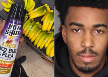 Disturbing prank: TikTok star Charles Smith faces legal troubles after filming himself spraying pesticide on produce at grocery store