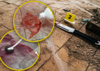 Chinese influencer sparks concern with tutorials on bloodstain and bone cleaning