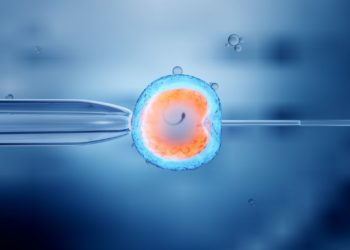 Breakthrough: Lab-grown human eggs and sperm may soon become reality