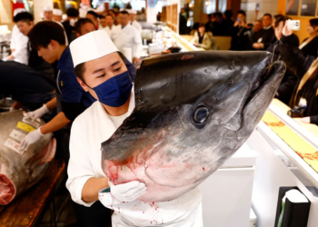 Motorcycle-sized bluefin tuna sells for over $1 million at Japan auction