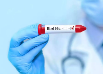 Louisiana: U.S. records its first human bird flu death