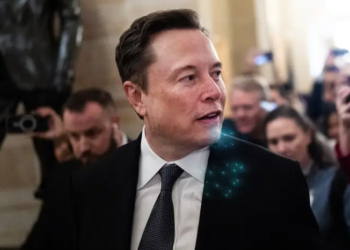 Musk’s DOGE terminates over $180 million in contracts from HHHS, including Fauci museum exhibit