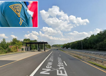 New Jersey driver awarded $13 million after troopers mistook her stroke for drunk driving