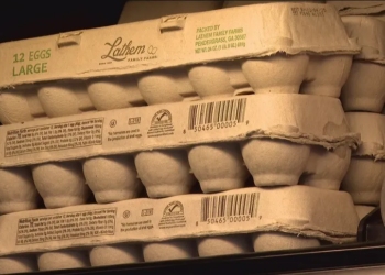 Egg shortages hit US stores amid bird flu crisis