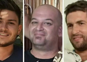 Meet Sasha Troufanov, Iair Horn, and Sagui Dekel-Chen: Israeli hostages freed by Hamas in latest ceasefire swap
