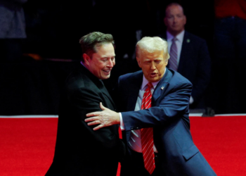 “Musk has no formal decision-making authority, can only advise”: White House