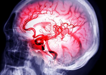 New study links surge in brain activity of dying patients to soul leaving the body