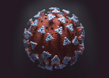 HKU5-CoV-2: Scientists in China identify new bat coronavirus with potential human transmission risk