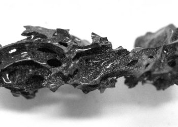 Scientists solve mystery of man’s brain turning to glass in Vesuvius eruption