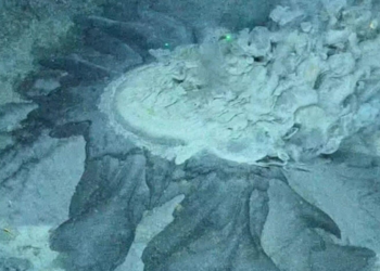 Mud volcano under the Arctic ocean full of life, say scientists