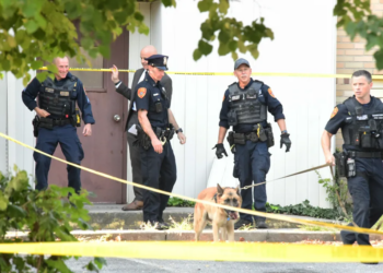 Police discover suitcase stuffed with human remains at Governor’s Island in NYC