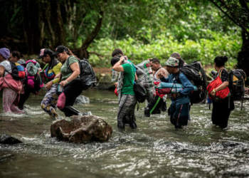 What is the Darien Gap? Deadly 97-km jungle crossing that migrants brave to reach US