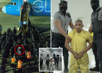 Massive deportation: First 250+ migrant gang members from US transferred to El Salvador's notorious mega-prison