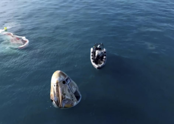 Watch: Dolphins greet Sunita Williams and Butch Wilmore upon splashdown from epic space journey