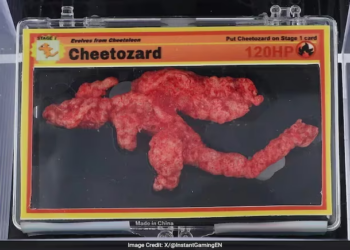 Rare Charizard-shaped hot Cheeto sells for staggering $87,000 at auction