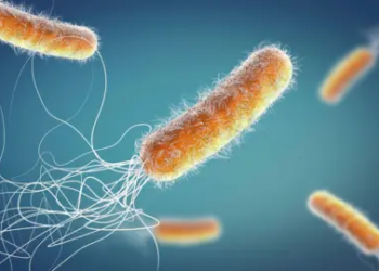 US approves new antibiotic for UTIs in major health breakthrough