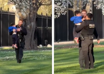 Watch: Toddler crawls through White House fence, leaving netizens amused