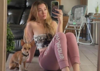 Florida influencer arrested for posting sexual acts with pet chihuahua on Instagram