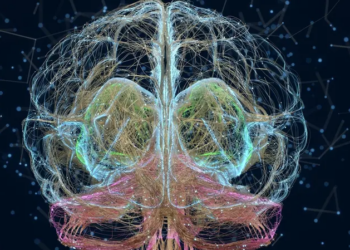 Australian company launches world’s first biological computer combining human brain cells with silicon, ushering in a new AI era