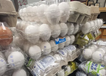 US customs seizing more eggs than drugs at Canada border: Report