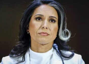 ‘We are with you’: DNI Tulsi Gabbard expresses solidarity with India after Islamist terror attack in Kashmir