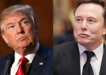 Trump and Musk