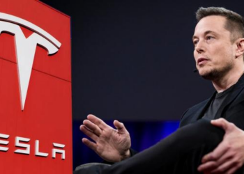 Tesla freezes new orders in China