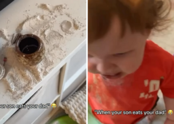 Screengrab from the video In a video filmed by the shocked mother.(Instagram/fratshows)